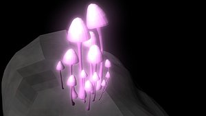 Radioactive Mushrooms