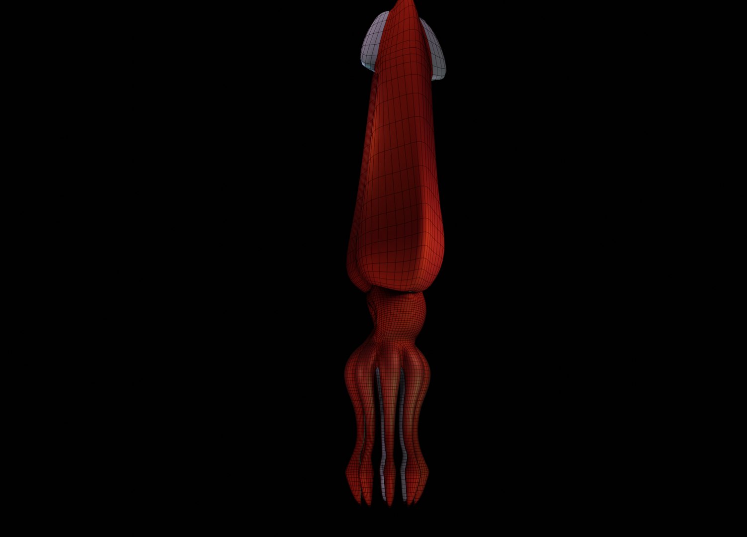 3D model humboldt squid animation https://p.turbosquid.com/ts-thumb/MI/Nd2ArY/4ceOZoqp/squid_tt_wireframe_0015/png/1586887738/1920x1080/fit_q87/af00e88ade342579057c02107e471cb04c7e6918/squid_tt_wireframe_0015.jpg