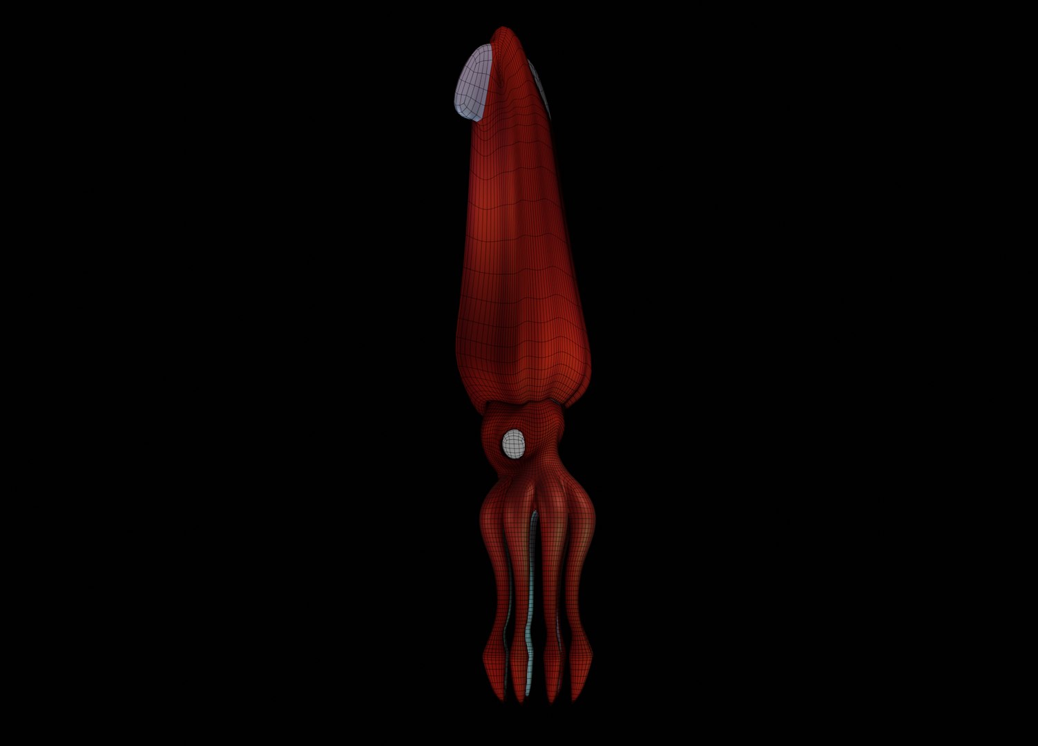 3D model humboldt squid animation https://p.turbosquid.com/ts-thumb/MI/Nd2ArY/xG1kVCGL/squid_tt_wireframe_0003/png/1586887738/1920x1080/fit_q87/ba61e139d8a8509c952c92365abe5edd066710f8/squid_tt_wireframe_0003.jpg