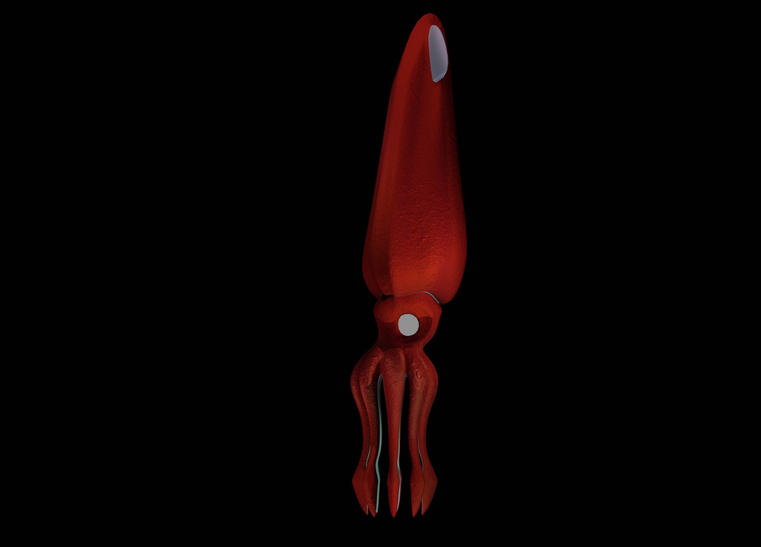 3D model humboldt squid animation https://p.turbosquid.com/ts-thumb/MI/Nd2ArY/yNtwXo9c/squid_tt_texture_0021/png/1586887738/1920x1080/fit_q87/648b4d9da4a52b03fbad6c6a31eb5ae7a1884e27/squid_tt_texture_0021.jpg