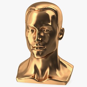 Golden Male Mannequin Head with Hair
