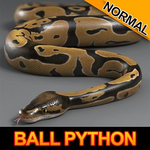 max normal ball python