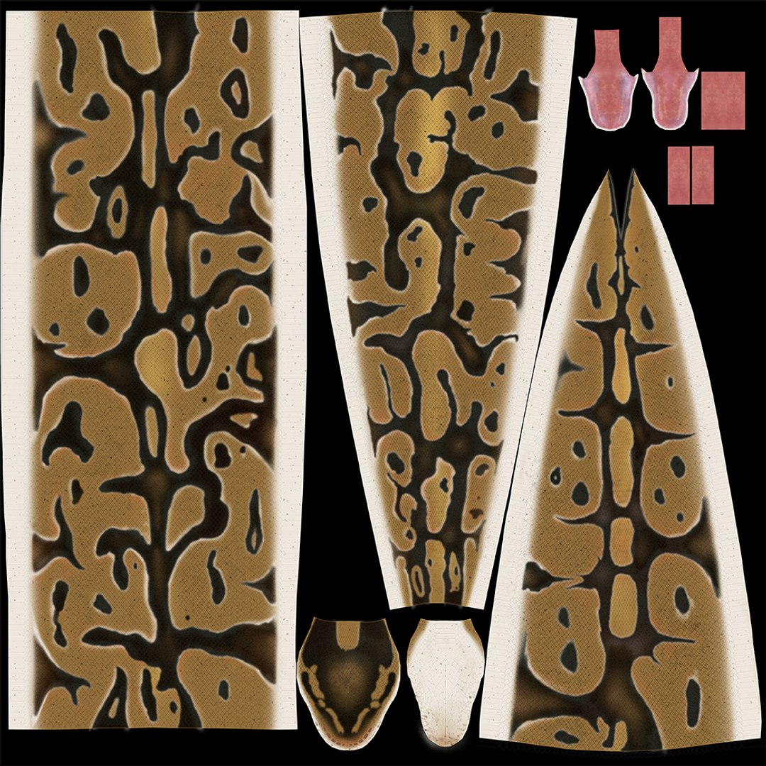 Max Normal Ball Python