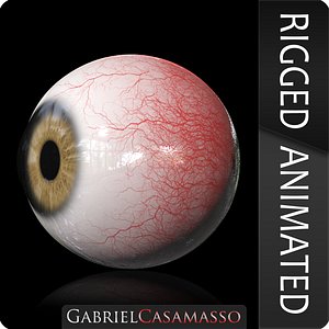 realistic eye model