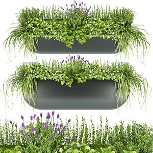 Collection plant vol 61 3D model
