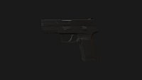 PKE 242 - (P250) & Compensator