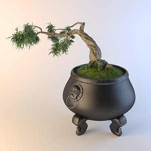 bonsai tree cauldron 3D model