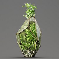 Decorative Fluval Anubias Plant
