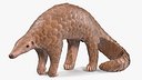 Pangolin Rigged for Cinema 4D