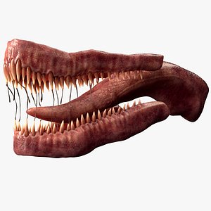 Dragon Mouth Teeth