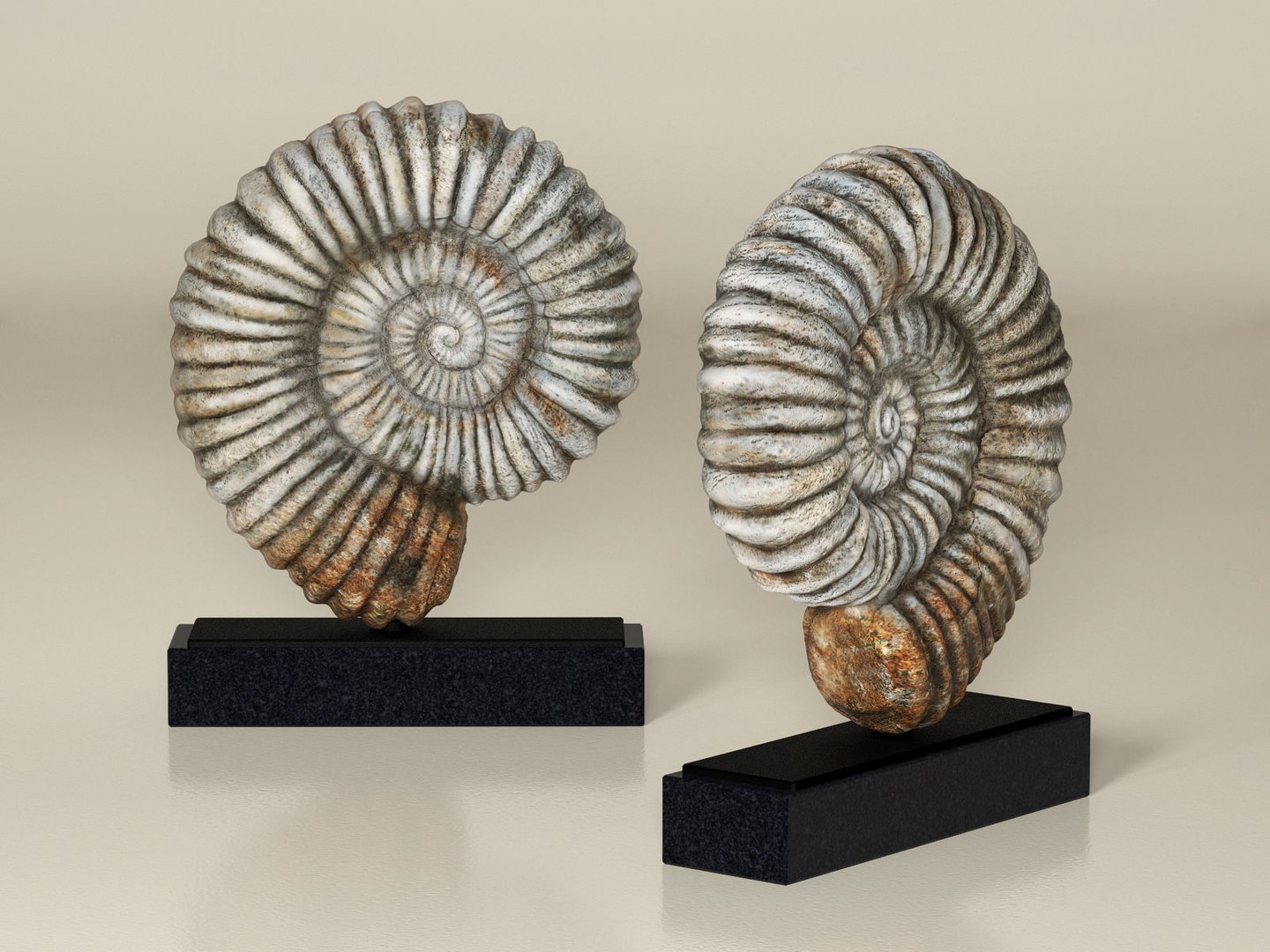 3D fossil iron-marble shell sculpture model - TurboSquid 1226067