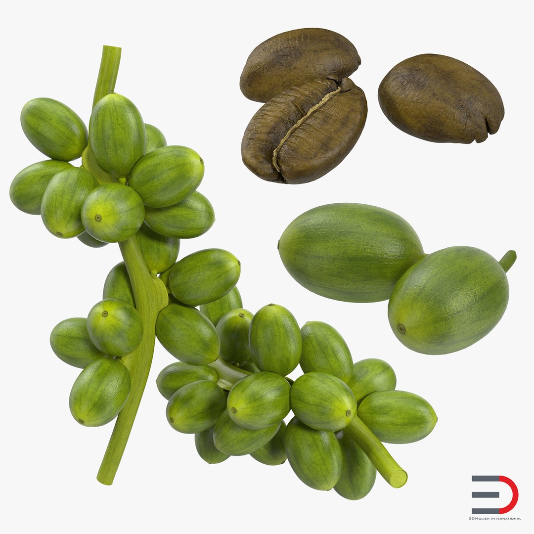 Green Coffee Collection 3D model preview