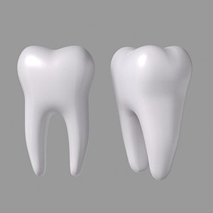 3D model tooth