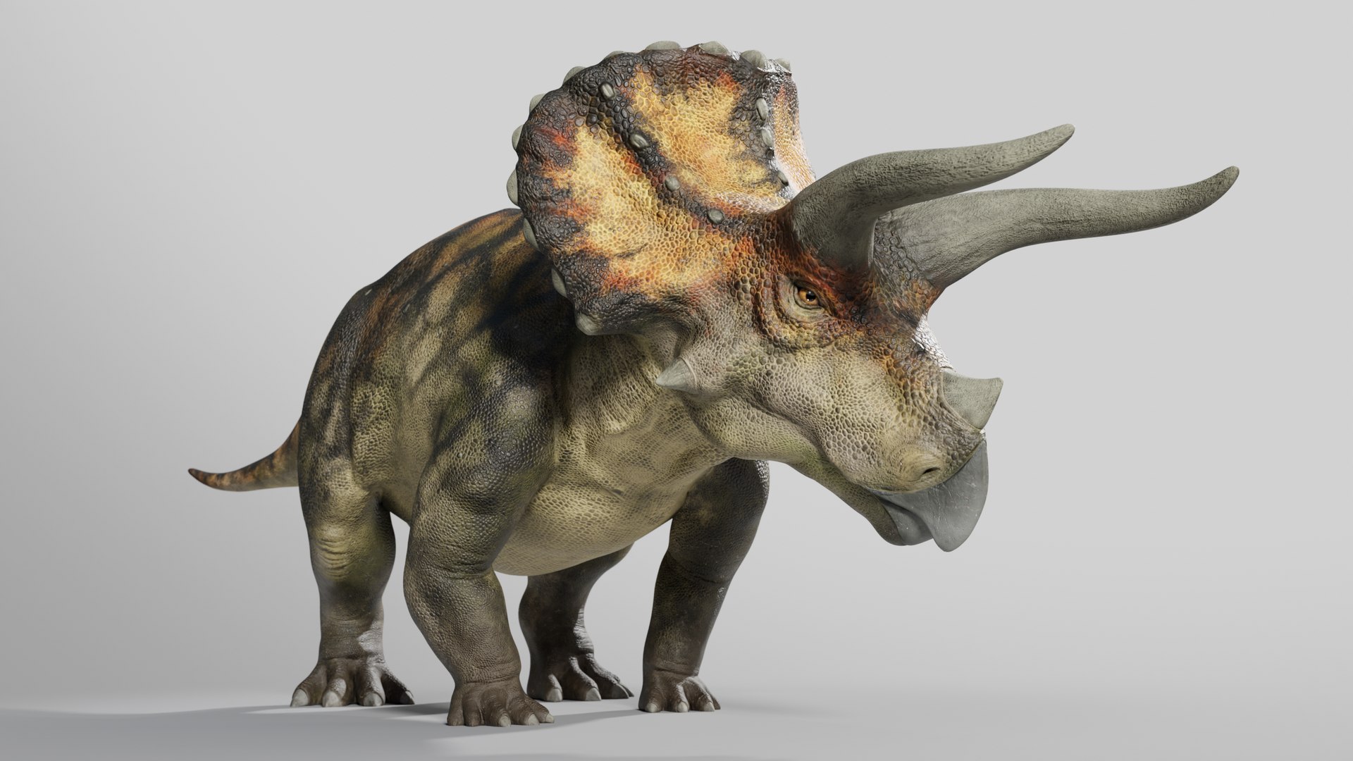 7 Accurate Dinosaurs Rig Assets Pack Model - TurboSquid 2445017