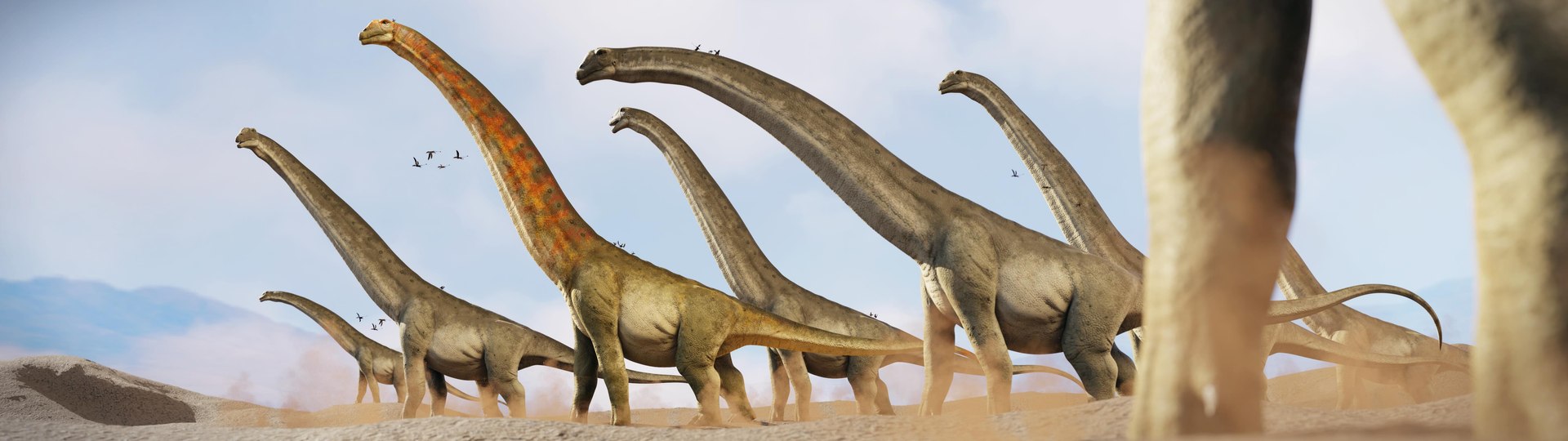 7 Accurate Dinosaurs Rig Assets Pack Model - TurboSquid 2445017