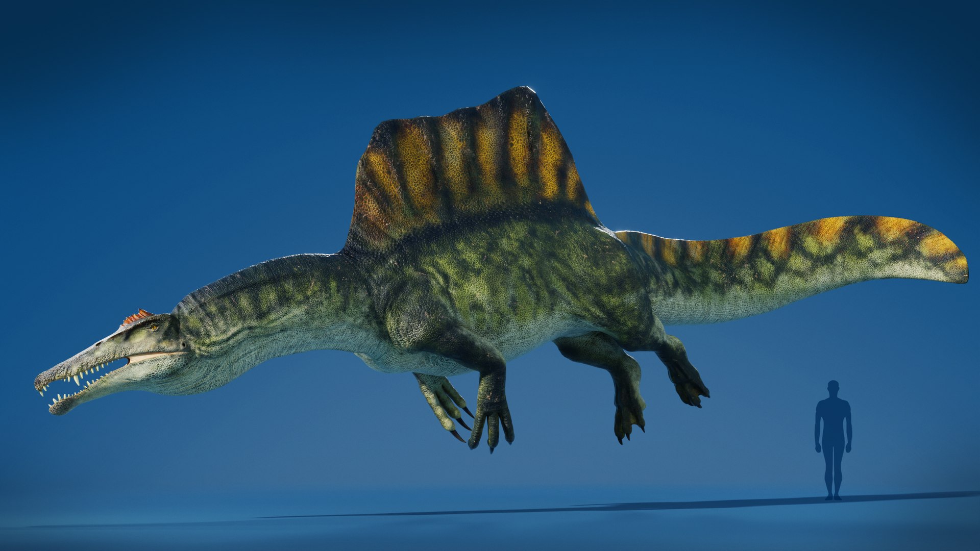 7 Accurate Dinosaurs Rig Assets Pack Model - TurboSquid 2445017
