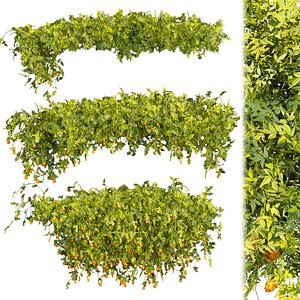 Collection plant vol 353 - leaf - fitowall - bush - flower - blender - 3dmax - cinema 4d 3D model