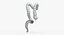 3D human large intestine anatomy