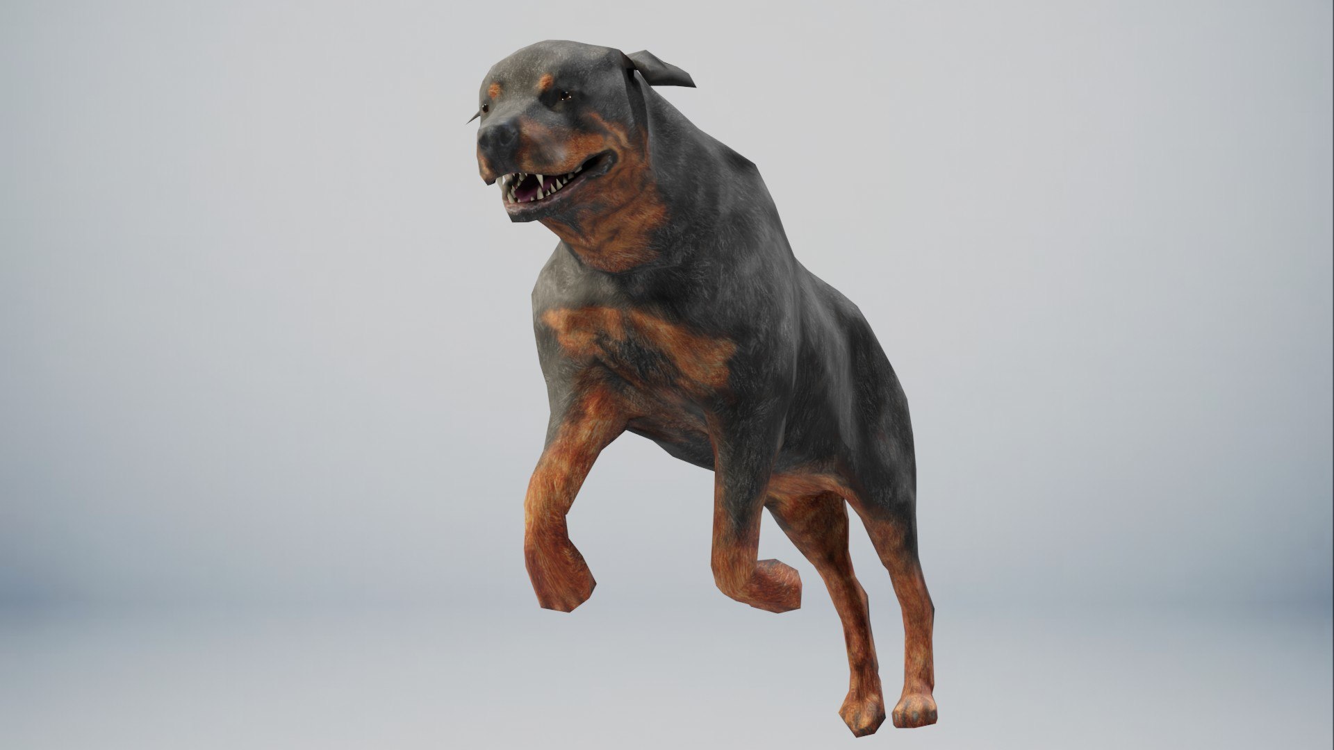 Rottweiler Animated 3D Model - TurboSquid 1870867