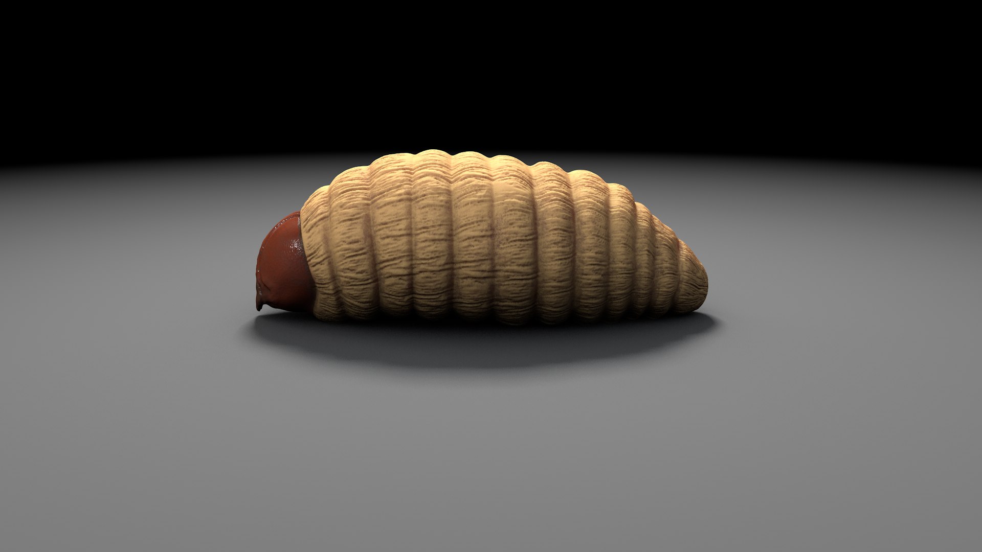 3D Model Red Palm Weevil Larvae - TurboSquid 1174216