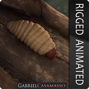 3D model red palm weevil larvae