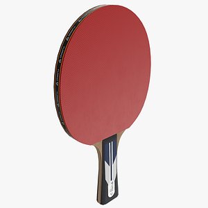 Ping Pong Paddle