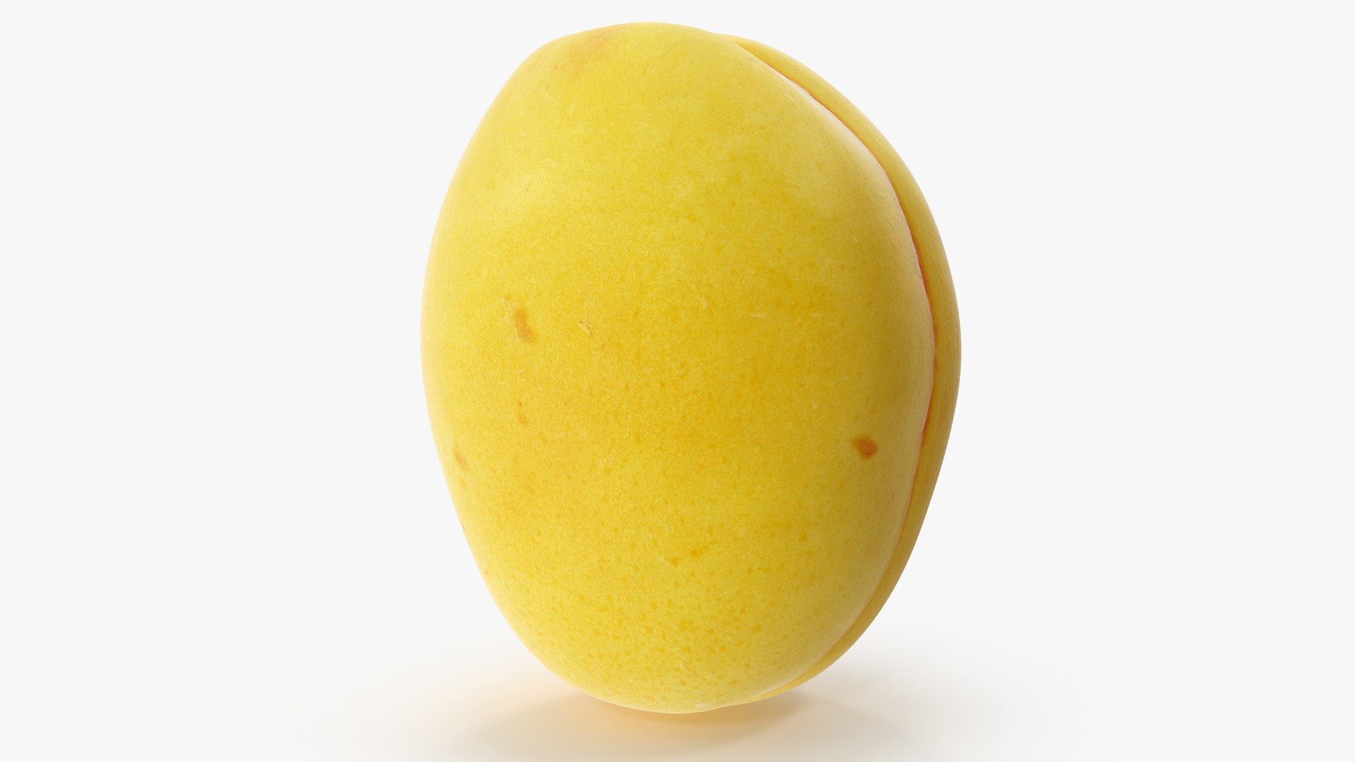 3D Apricot 01 Model - TurboSquid 1452104
