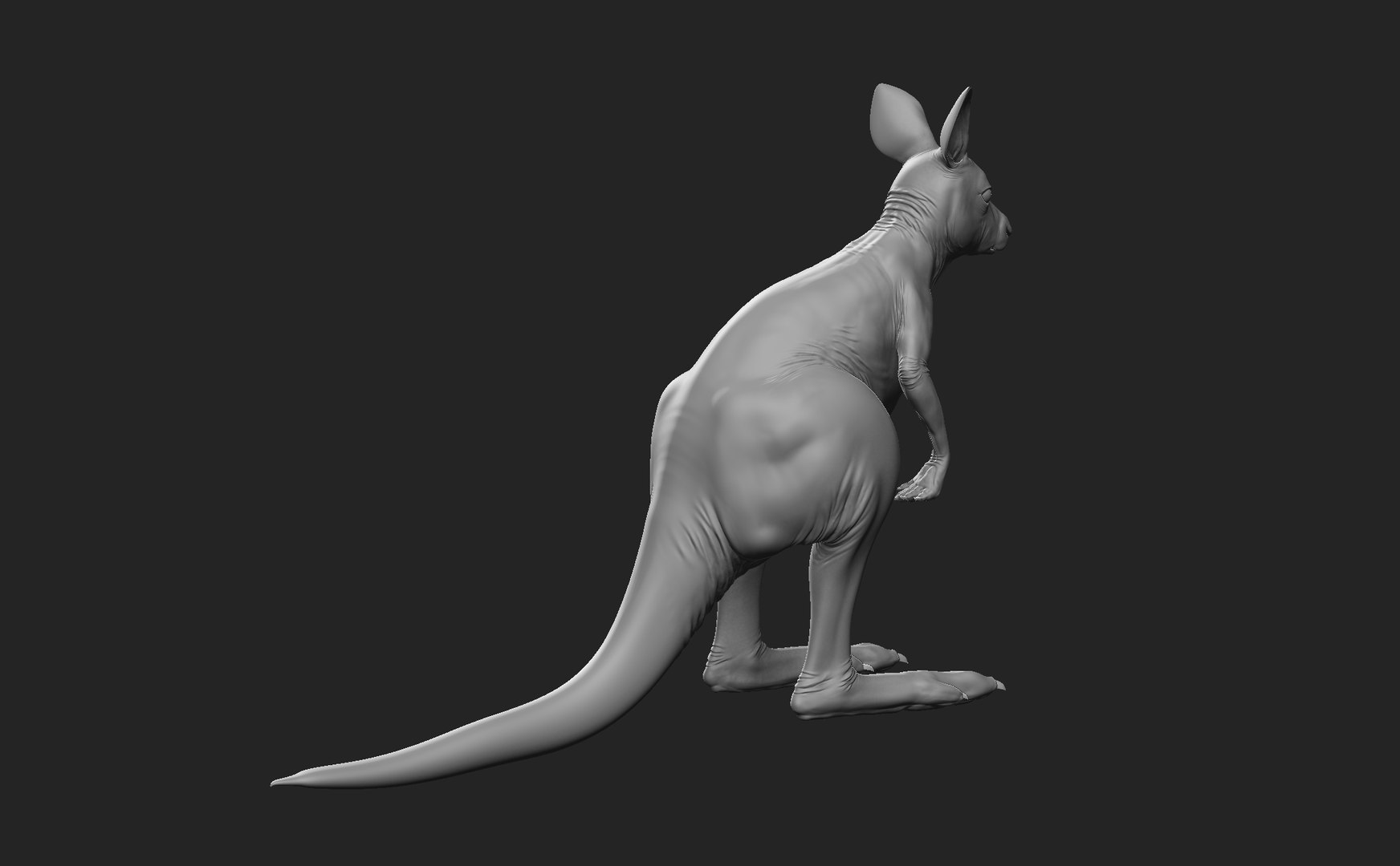 3D Kangaroo Family https://p.turbosquid.com/ts-thumb/MK/FuN1QY/0m/baby4/jpg/1700226686/1920x1080/fit_q87/e87e7d0b2f71a92503bcf97fee6f640436229f0c/baby4.jpg