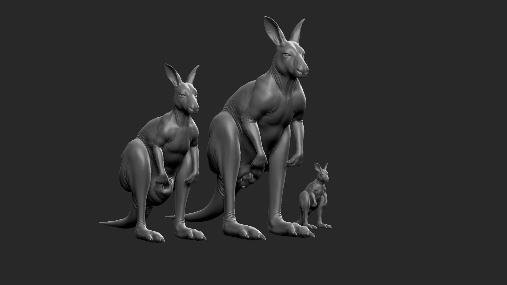 3D Kangaroo Family https://p.turbosquid.com/ts-thumb/MK/FuN1QY/EI/ezgifframe/jpg/1700719882/1920x1080/turn_fit_q99/479f47a2f6b1c3269b85b34b1f7cf4be1e083860/ezgifframe-1.jpg