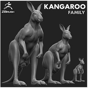3D Kangaroo Family