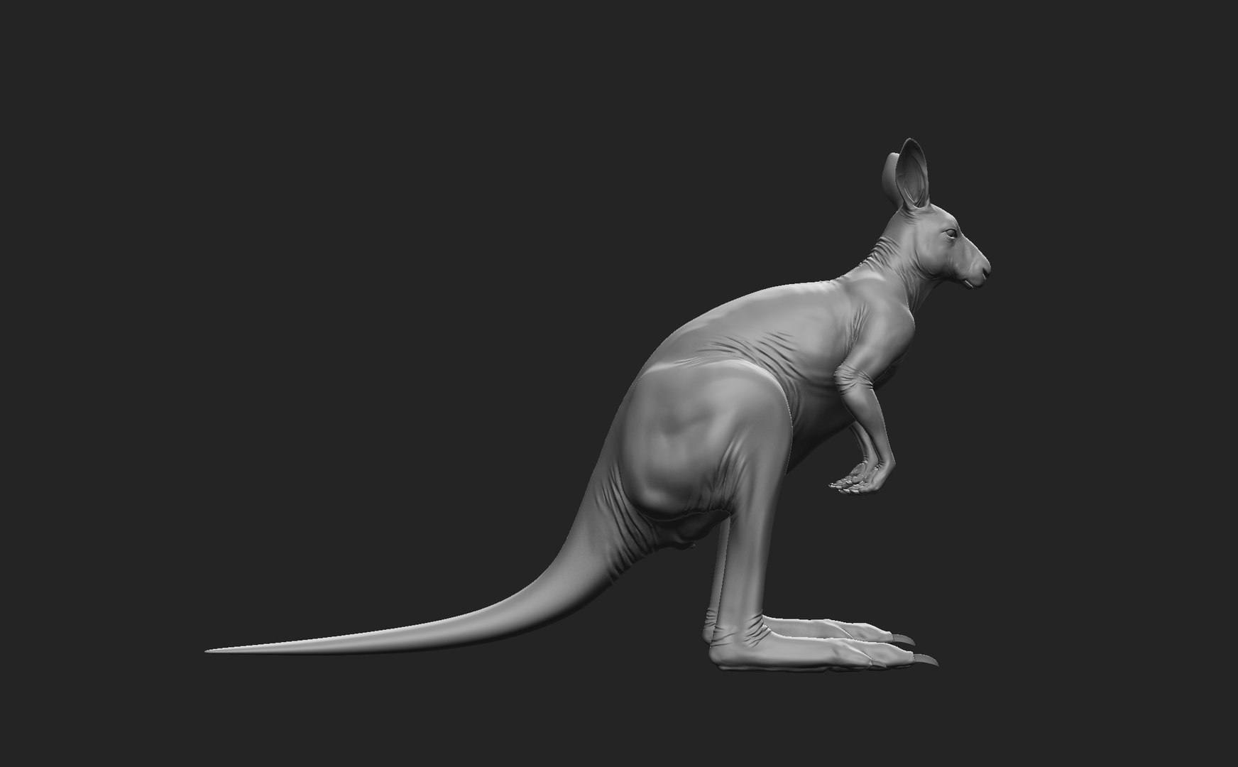 3D Kangaroo Family https://p.turbosquid.com/ts-thumb/MK/FuN1QY/Ko/male3/jpg/1700226690/1920x1080/fit_q87/ad270777f8c68823fd74e50f1a44e997f1dc180b/male3.jpg