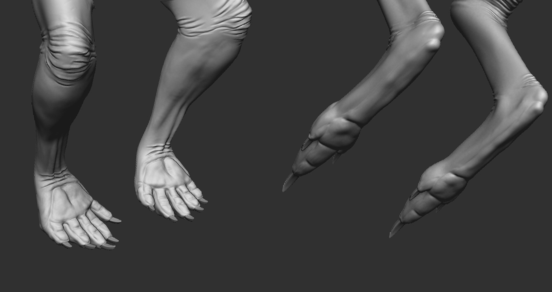 3D Kangaroo Family https://p.turbosquid.com/ts-thumb/MK/FuN1QY/WW/limb/jpg/1700226647/1920x1080/fit_q87/5da24eefd70098c2608f1a0a18f54fe1d9d3be68/limb.jpg