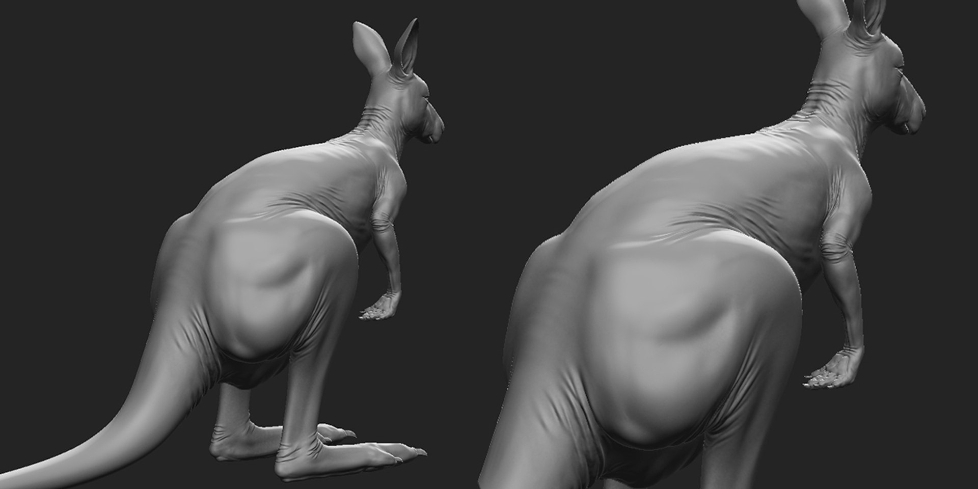 3D Kangaroo Family https://p.turbosquid.com/ts-thumb/MK/FuN1QY/eU/7/jpg/1715491195/1920x1080/fit_q87/352eef972975e8e5738942848929d8e1df3af555/7.jpg
