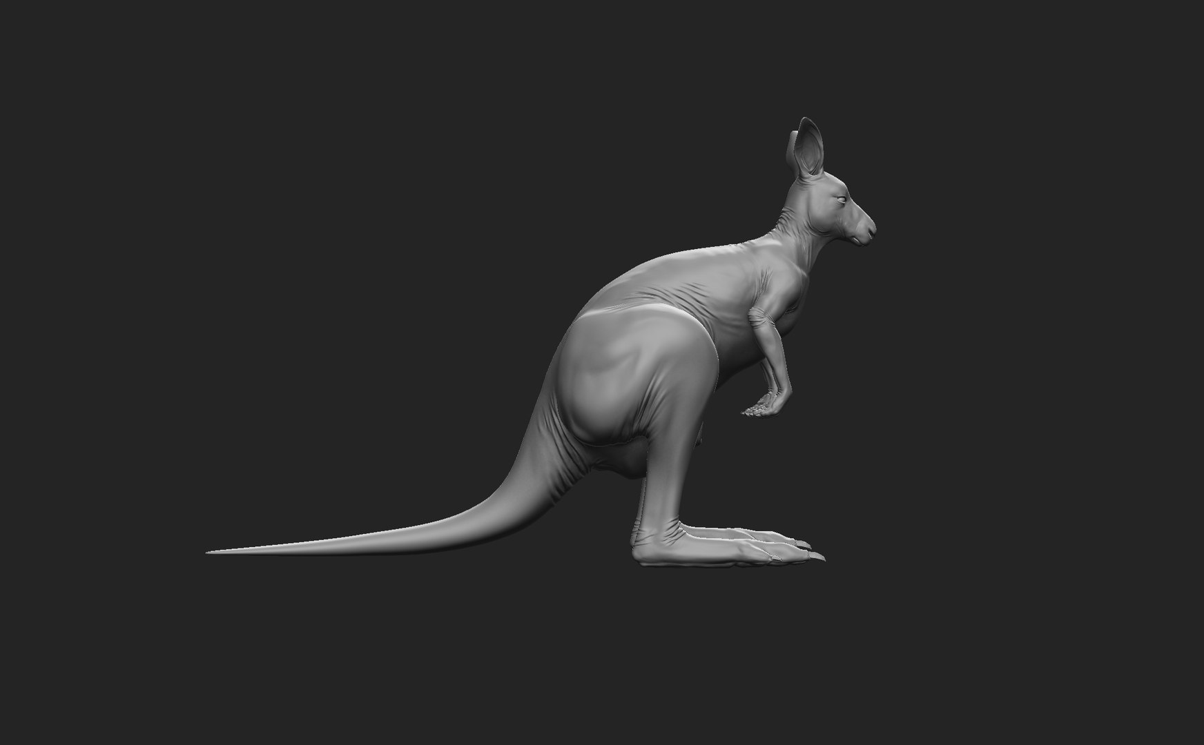 3D Kangaroo Family https://p.turbosquid.com/ts-thumb/MK/FuN1QY/ke/female3/jpg/1700226682/1920x1080/fit_q87/69246e445f50f695313f9a79820be1c2b8f4cc3f/female3.jpg