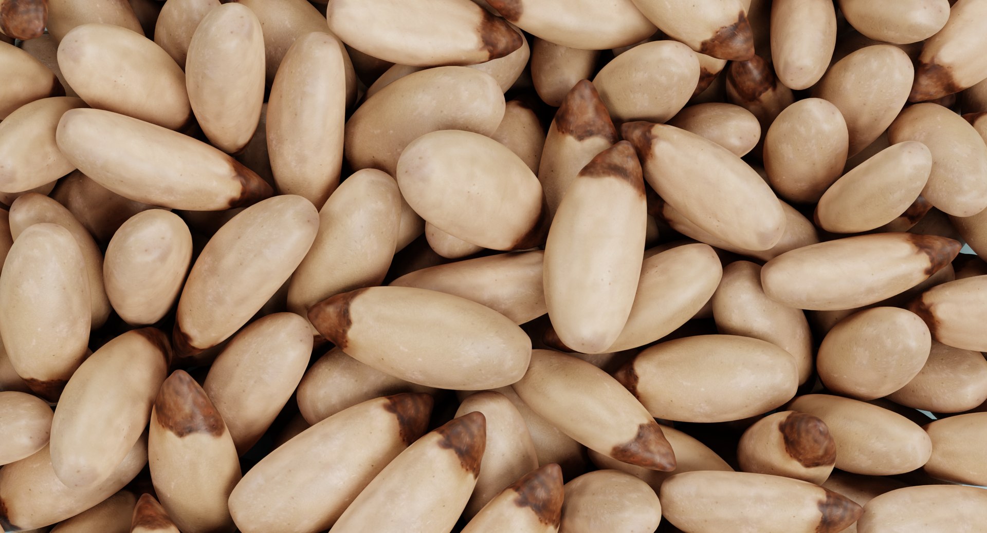 Nuts Collection model https://p.turbosquid.com/ts-thumb/MK/QdBLV0/uX/pinenutsi/png/1709222719/1920x1080/fit_q87/a67a65bee21061f53aec7b68844a87e9b72f8654/pinenutsi.jpg