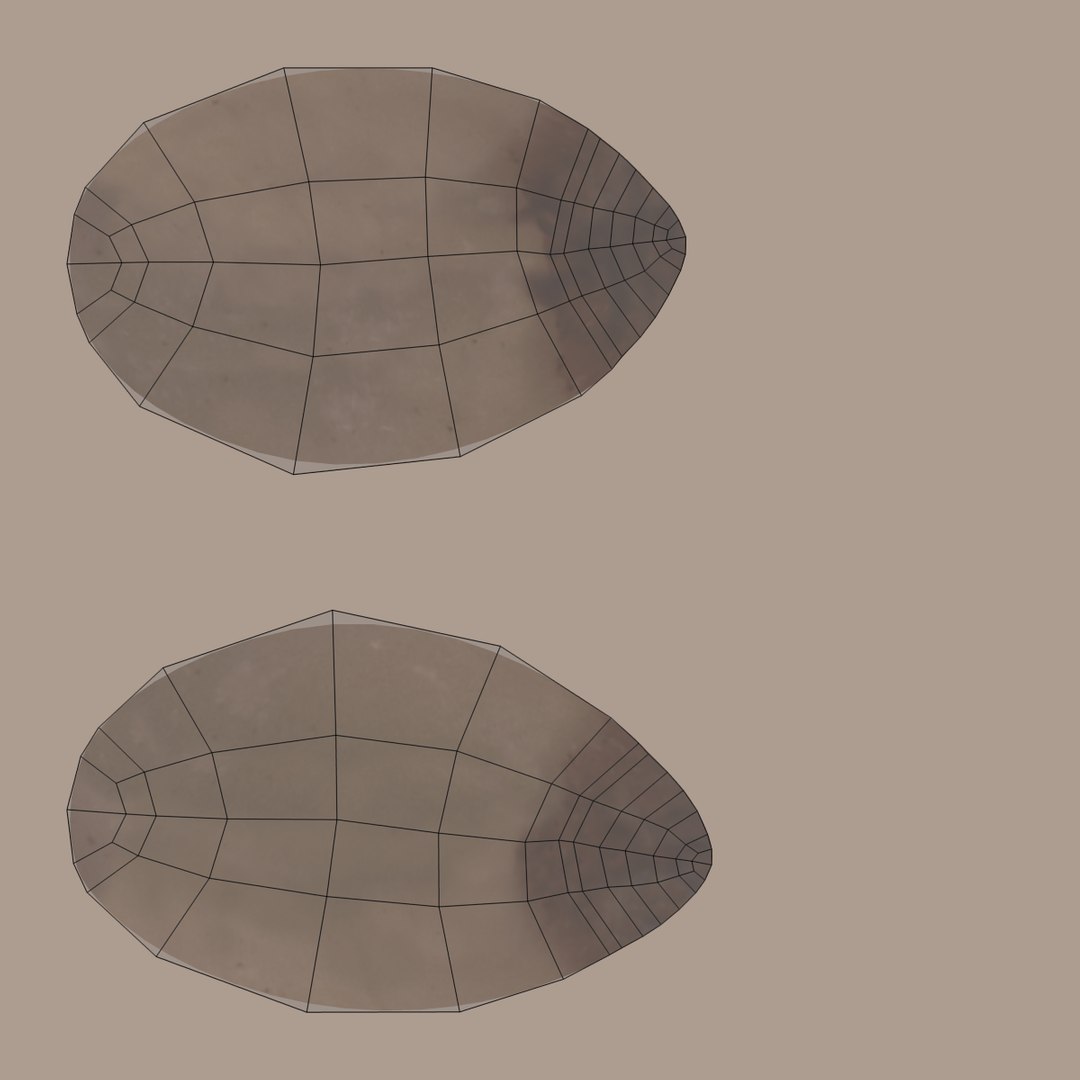 Nuts Collection model https://p.turbosquid.com/ts-thumb/MK/QdBLV0/vW/pinenutsuv/png/1709222718/1920x1080/fit_q87/9d082ff025bf48b6ff1e18f58a1bbb40ed9b0233/pinenutsuv.jpg