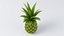 Piña de dibujos animados