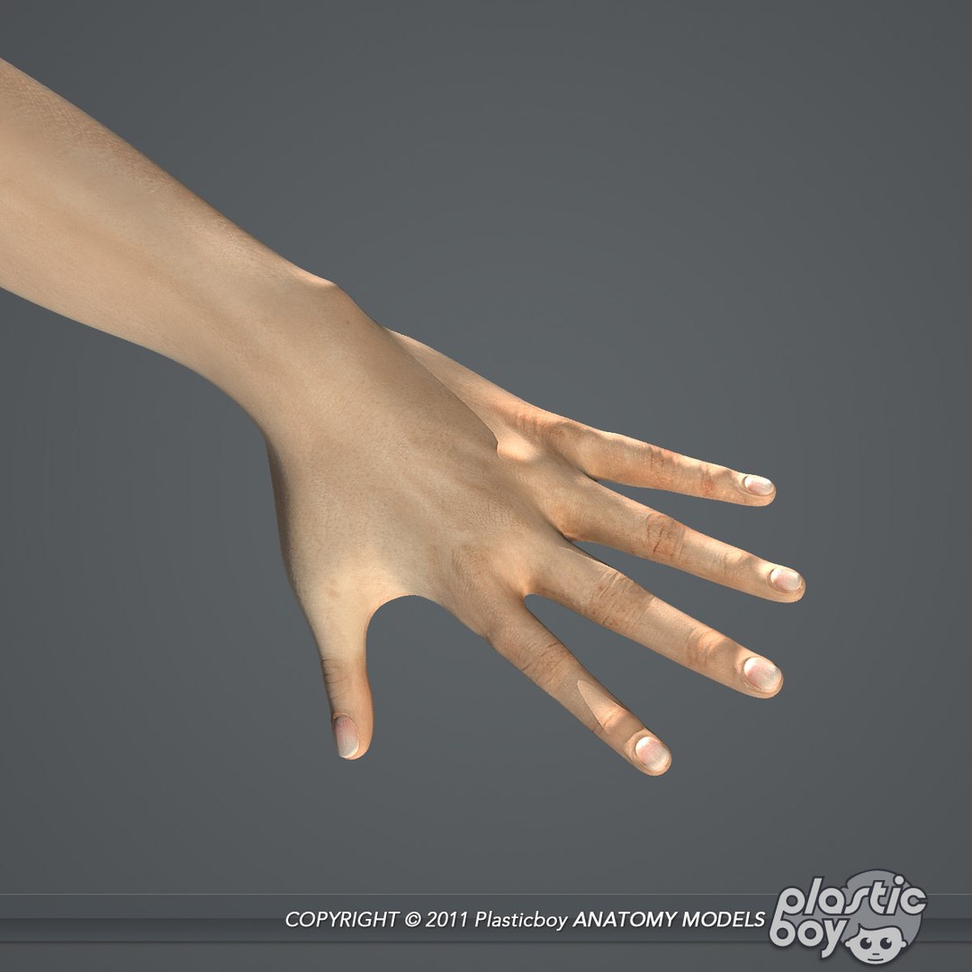 3d model of female body anatomy skin https://p.turbosquid.com/ts-thumb/MK/Z6fD8k/9PUOOZvF/female_body_07/jpg/1335616633/1920x1080/fit_q87/32b46478f6ccf964d03ad5151b4f7984c06b77bb/female_body_07.jpg