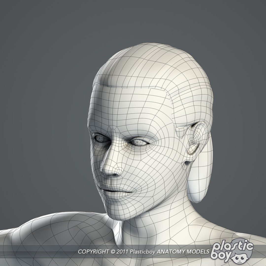 3d model of female body anatomy skin https://p.turbosquid.com/ts-thumb/MK/Z6fD8k/cLVuHDaL/female_body_08_wf/jpg/1335616670/1920x1080/fit_q87/de2ee5b0fc67bee62f2690e24b5192e49722a97b/female_body_08_wf.jpg