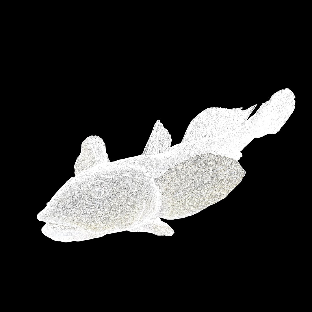 3D HAZEKUCHI GIANT GOBY ACANTHOGOBIUS https://p.turbosquid.com/ts-thumb/MK/lGTzq1/gu/uv/jpg/1742838712/1920x1080/fit_q87/b59425c1064c24a64d1f1c4bc0950a80c1617089/uv.jpg