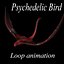 Psychedelic Bird