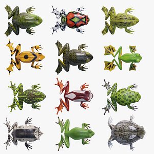 Animated Frogs Ultimate Volume 1