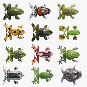 Animated Frogs Ultimate Volume 1