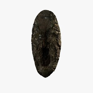 Anydrafts Magnolia officinalis Burl 02