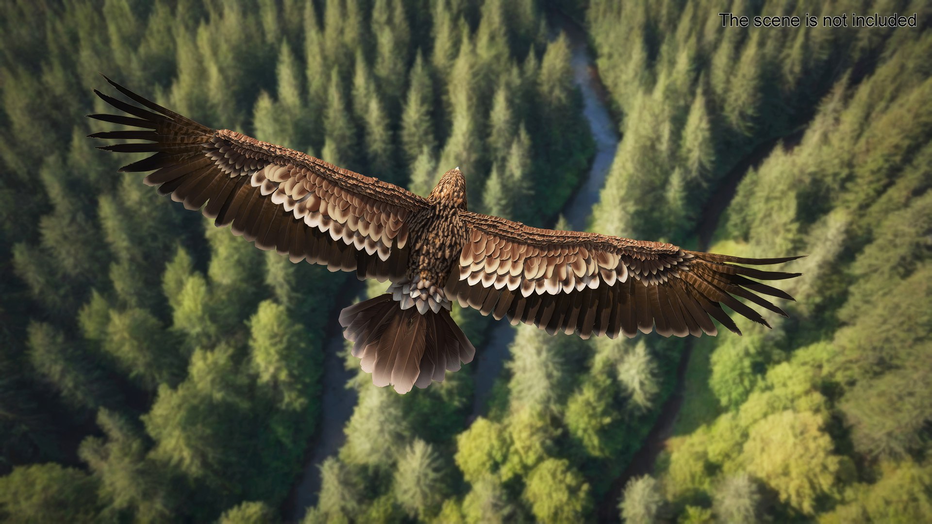 Flying Imperial Eagle 3D model https://p.turbosquid.com/ts-thumb/ML/4nlIhp/9A/flyingimperialeaglevray3dmodel003/jpg/1722279007/1920x1080/fit_q87/108d0a7d52676c560f83bdf40942ac1f005b8f3c/flyingimperialeaglevray3dmodel003.jpg