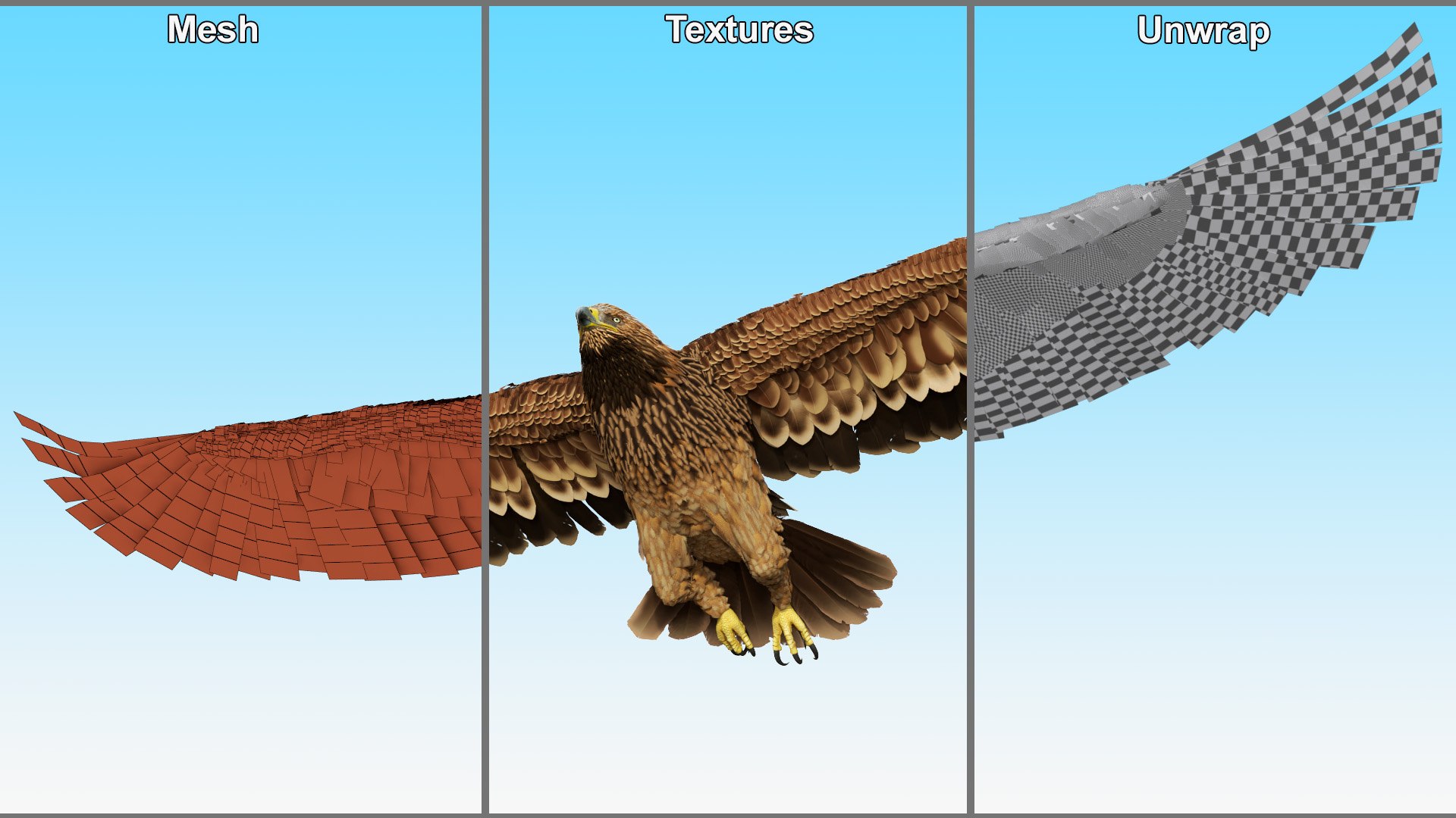 Flying Imperial Eagle 3D model https://p.turbosquid.com/ts-thumb/ML/4nlIhp/NS/flyingimperialeaglevray3dmodel017/jpg/1722279088/1920x1080/fit_q87/64e03ca06823c87d0c95e879e78e7161313d40e2/flyingimperialeaglevray3dmodel017.jpg