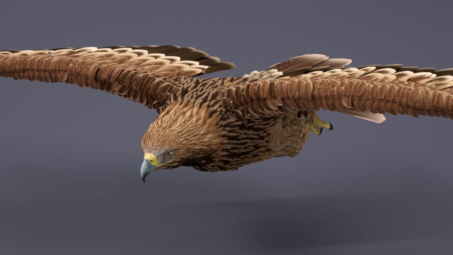 Flying Imperial Eagle 3D model https://p.turbosquid.com/ts-thumb/ML/4nlIhp/Td/flyingimperialeaglevray3dmodel005/jpg/1722279018/1920x1080/fit_q87/8503c9fd0ae3dd69afededcc5421ca4e193bd25d/flyingimperialeaglevray3dmodel005.jpg