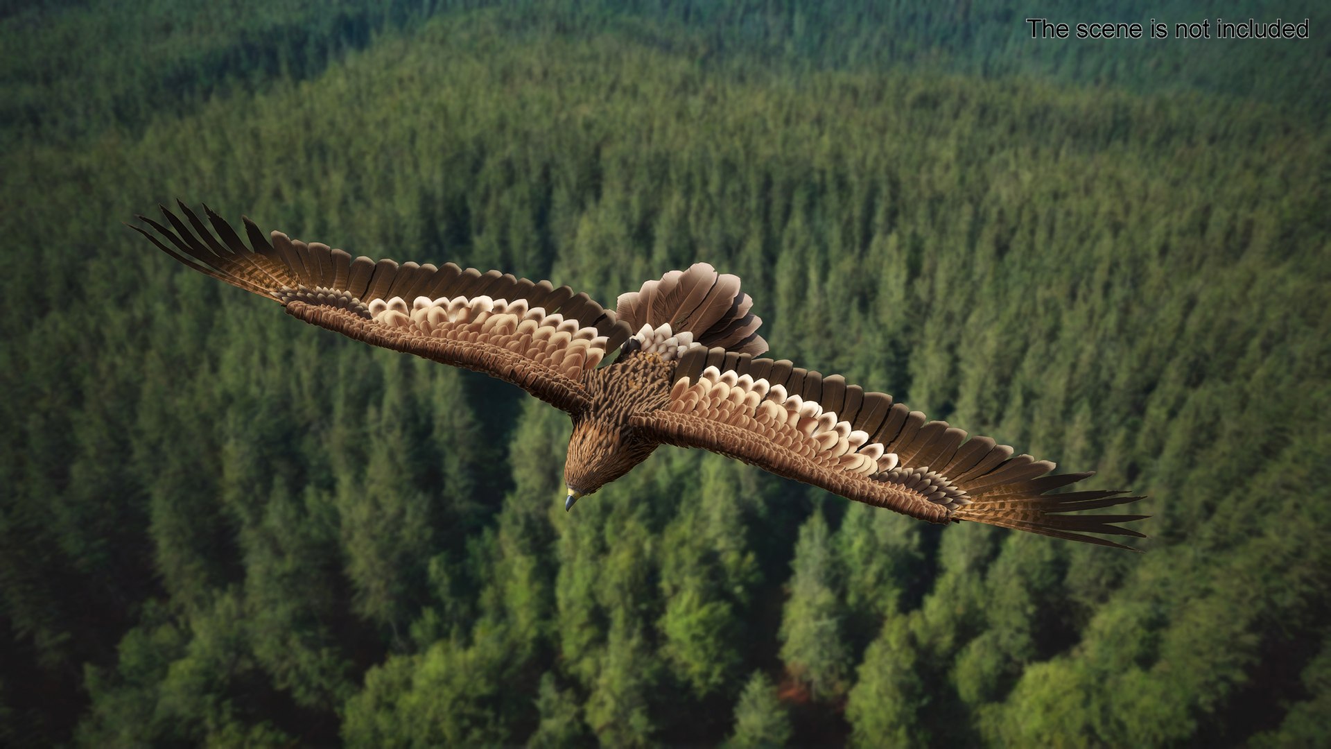 Flying Imperial Eagle 3D model https://p.turbosquid.com/ts-thumb/ML/4nlIhp/a7/flyingimperialeaglevray3dmodel004/jpg/1722279013/1920x1080/fit_q87/6a9bf7a621f39f961c6d596c26b1c34ceca84ae3/flyingimperialeaglevray3dmodel004.jpg