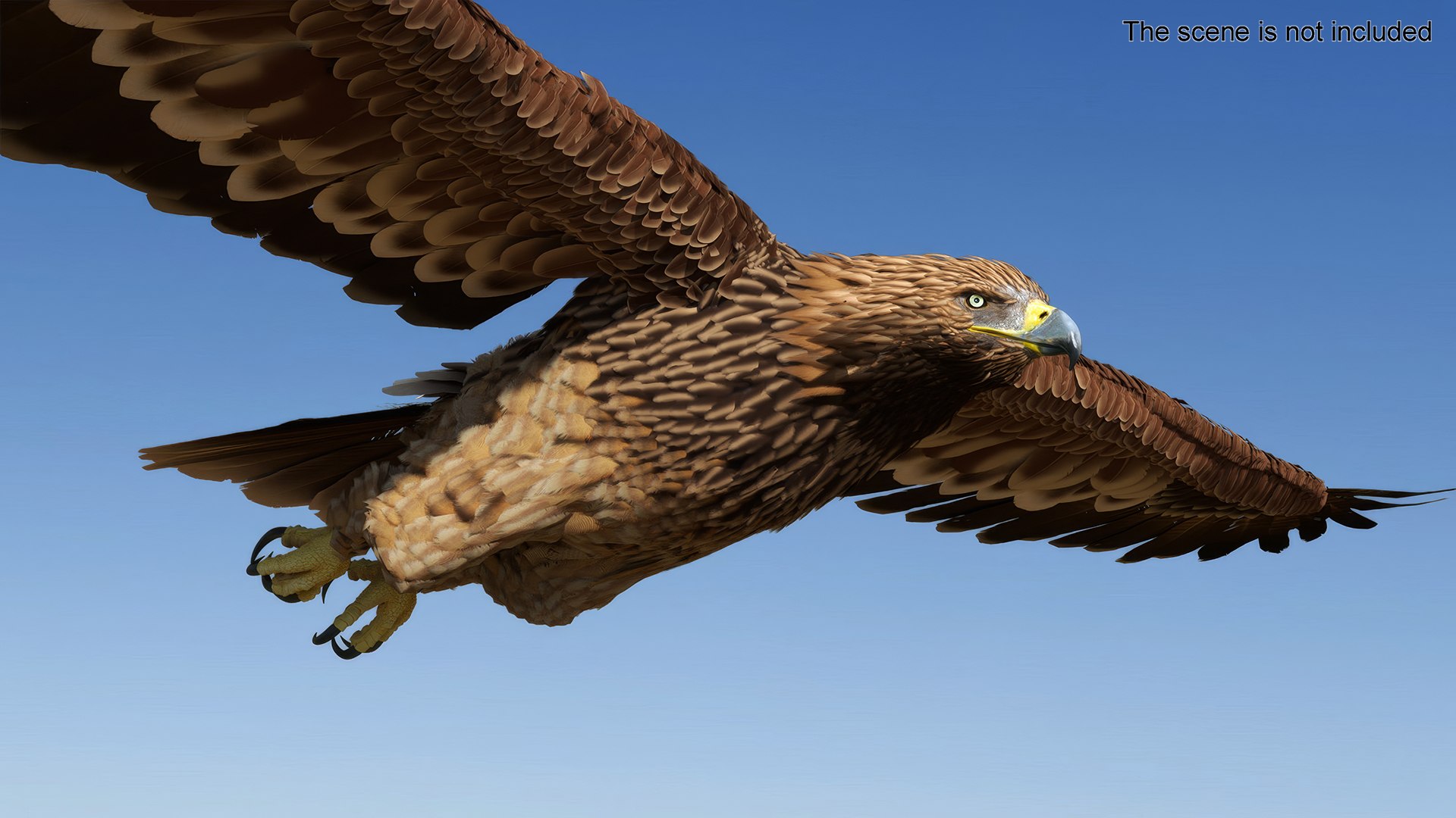 Flying Imperial Eagle 3D model https://p.turbosquid.com/ts-thumb/ML/4nlIhp/hW/flyingimperialeaglevray3dmodel002/jpg/1722279001/1920x1080/fit_q87/ddbe333b6fa3fa3a5c931ab9fccd54680f28b96d/flyingimperialeaglevray3dmodel002.jpg