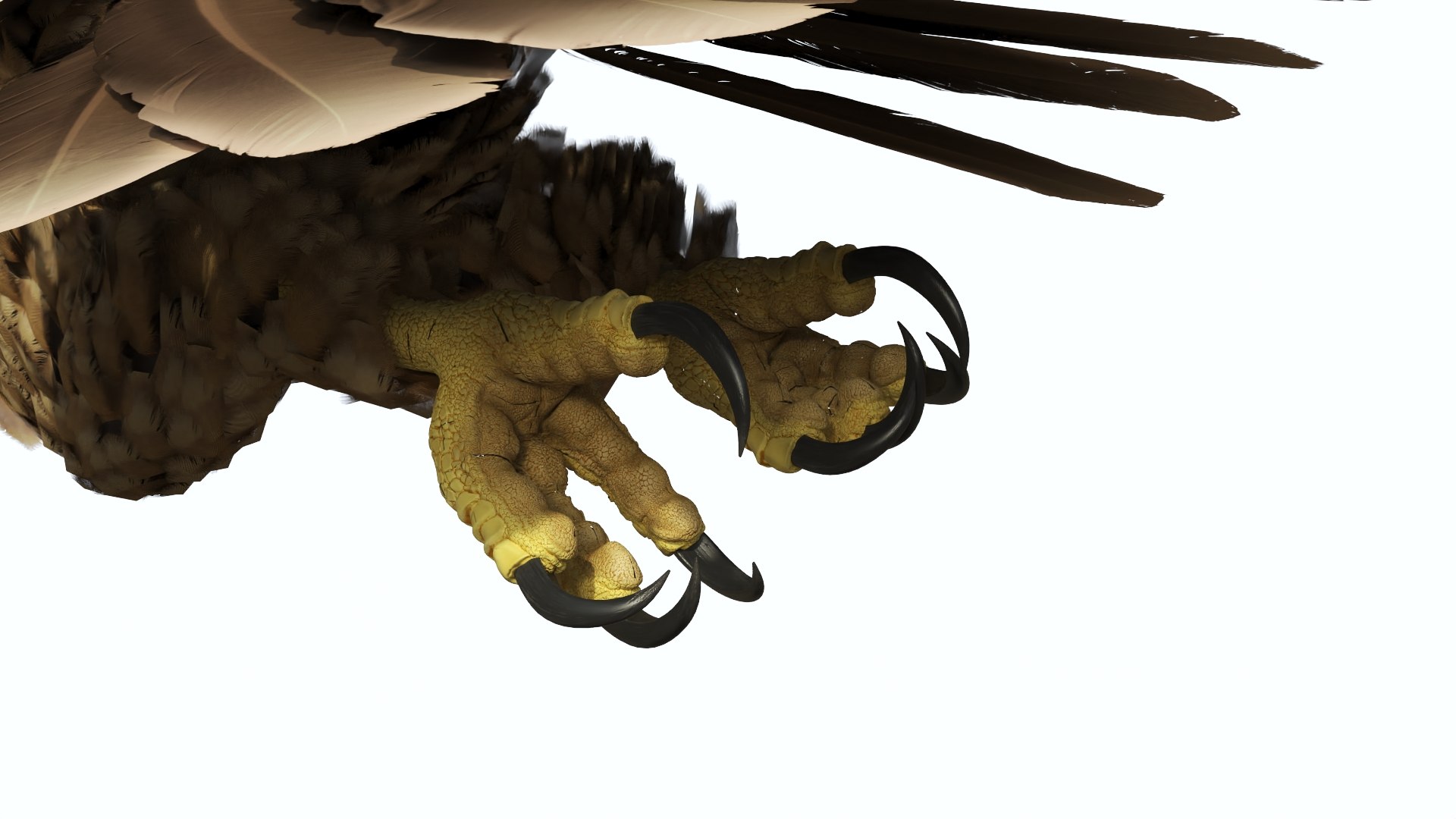 Flying Imperial Eagle 3D model https://p.turbosquid.com/ts-thumb/ML/4nlIhp/zC/flyingimperialeaglevray3dmodel011/jpg/1722279051/1920x1080/fit_q87/20373a28cdc0264c9c3a828935a96ce2d24d8241/flyingimperialeaglevray3dmodel011.jpg